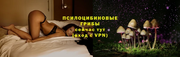 кокаин Белокуриха