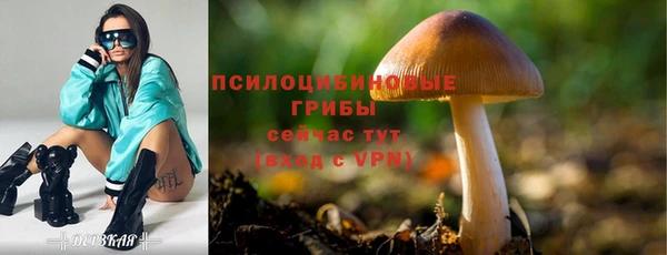 mdpv Беломорск
