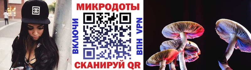 Псилоцибиновые грибы мицелий  продажа наркотиков  Майкоп 